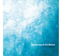 Springintgut & F.S.Blumm The Bird and White Noise (CD) Album