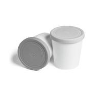 SPRINGLANE set di 2 contenitori per gelato da 1 litro, contenitori per congelatore, senza BPA in qualità alimentare (Grigio)
