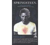 Springsteen. Long walk home. Testi commentati. 1992-2009. Vol. 2