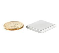 SPRINTIS 10 Unità - Blocchetto magnetico al neodimio, nichelato 20 x 20 mm 3 mm, argento