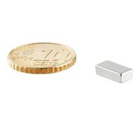 SPRINTIS 100 Unità - Blocchetto magnetico al neodimio, nichelato 10 x 5 mm 3 mm, argento