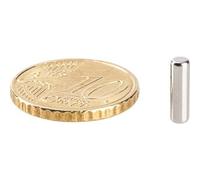 SPRINTIS 100 Unità - Cilindro magnetico al neodimio, nichelato 3 mm 10 mm, argento