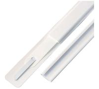 SPRINTIS 100 Unità - Copripressino per fastener, 297 mm, bianco, Plastica