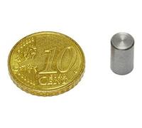 SPRINTIS 14 Unità - Magneti cilindrici con base con alloggiamento liscio 6 mm, AlNiCo, acciaio, argento