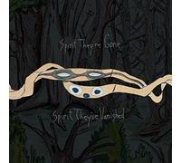 Animal Collective Spirit They're Gone, Spirit They've Vanished (CD)