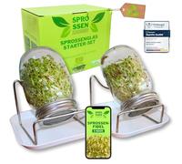 Sprossenzauber, set da 2 bicchieri da 500 ml, coperchio in acciaio inox e vaschetta di raccolta, tirando i germogli da soli, per broccoli, alfalfa, crescione, set per principianti per microverdi