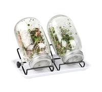 Sprouting Jar Kit - Hydroponic Jar Seed Germination Set | Stainless Steel Stand With Lid Tray System | Indoor Sprout Growing Kit For Broccoli Mung Beans Alfalfa Home Kitchen Windowsill Gardening