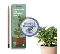 SproutWorld Matita | Edizione Mindful Thoughts | Set di 8 Matite Piantabili con Semi di Fiori, Erbe e Verdure | Legno Ecosostenibile | Set Regalo Ecologico Frasi Motivazionali