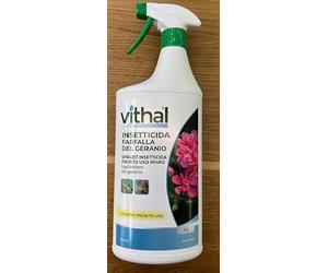 SPRUZIT CONTRO FARFALLA DEL GERANIO