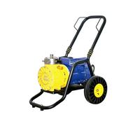 Spruzzatore a membrana ad alta potenza, pompa olio ingrandita, display digitale della tensione, motore in acciaio al tungsteno resistente all'usura, potente, buona atomizzazione Pittura fai da te