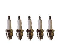 Spruzzatore a Zaino Parte Efficiente Combustione Carburante Resistente Ambiente