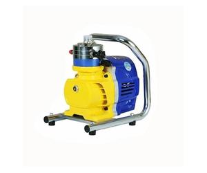 Spruzzatore Brushless a Conversione di Frequenza, Leggero e Portatile, Atomizzazione Uniforme, Formazione di Film Una Tantum Pittura fai da te