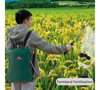 Spruzzatore elettrico da 15 L Annaffiatura versatile Spray potente per