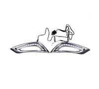 SPUFKGE Alogeno-Faro Per Hyundai Per Sonata 8 SE 2011 2012 2013 2014 Luci Diurne A LED Impermeabili Fendinebbia Paraurti Anteriore Luci Diurne Per Auto Fari Anteriori(A)
