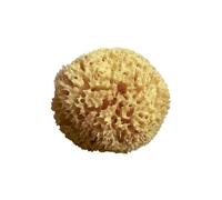 Spugna Mare Naturale Arcipelago 12cm