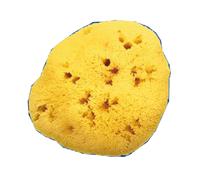 FARMACARE SRL FARMACARE Spugna Naturale Fori Larghi n.8