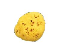 SPUGNA NAT FORI L 12/13CM 9