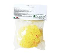 SPUGNA Nat.Fori L n.9 F/CARE