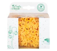 Spugna naturale in confezione regalo ecologica