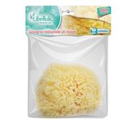 Libellule LIBELLULE SPUGNA NATURALE MARE 10