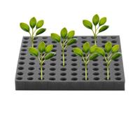 Spugna | Spugne Idroponiche per la Crescita,Attrezzo per Coltivazione e Germinazione di Lattuga e per Educazione in Aula Agricoltura Urbana Indoor e Outdoor