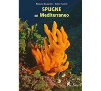 Spugne del Mediterraneo