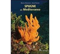 Spugne del Mediterraneo