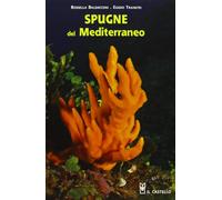 Spugne del Mediterraneo