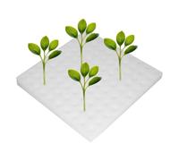 Spugne per Coltivazione Aerogarden,Spugne da Giardino a Cubetti | Attrezzo per Coltivazione e Germinazione di Lattuga e per Educazione in Aula Agricoltura Urbana Indoor e Outdoor