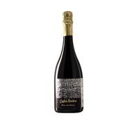 Spumante Blanc de Blancs Extra Brut Trento DOC Biologico 2017 - Castel Noarna