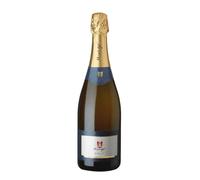 Spumante Metodo Classico Brut Murgo 2023
