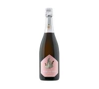 Spumante Metodo Classico Extra Brut Rosé de Sers 2021 - Casata Monfort