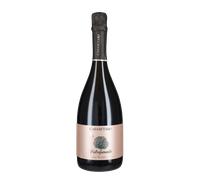 Spumante Metodo Classico 'Pietrafumante Rosè' Casa Setaro 2021