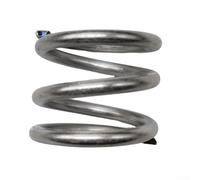 SPX0603S Molla filtro multiporta per piscina Hayward Pro Series e per valvole EcoStar - Molla di ricambio in metallo resistente, 1 pezzo pezzo compatibile OEM