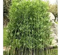 SPXTOM Palo in finto bambù per la privacy commerciale, impermeabile, piante di bambù artificiali, recinzione per la privacy delle piante, per interni ed esterni, patio, giardino, cortile, ufficio, 20