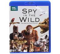Spy In The Wild Blu-Ray (2 Blu-Ray) [Edizione: Regno Unito] [Edizione: Regno Unito]