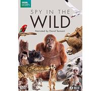 Spy in the Wild (DVD) David Tennant