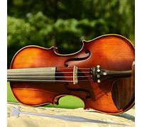 SPYMINNPOO Post di Abeti a Spruzzo Impostato per 4/4 3/ Violini, 10 Pezzi di Post -kit per Violinisti, Set di Fili Durevoli per Violini
