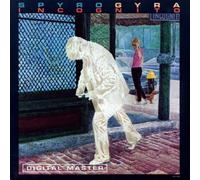 Spyro Gyra - Incognito
