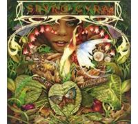 Spyro Gyra - Morning Dance [20bit]