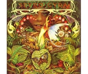 Spyro Gyra - Morning Dance