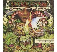 Spyro Gyra Morning dance (CD) Album