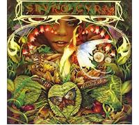 Spyro Gyra - Morning Dance (Jpn) (24bt)