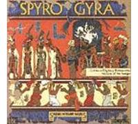 Spyro Gyra - Stories Without Words