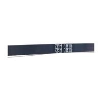 SQING Cinghia di trasmissione for asciugatrice 7PH 1915 adatta for 1915 H7 C00179066(7PH1915-1pc)