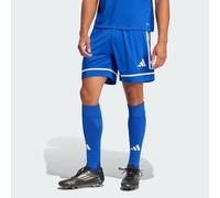 Squadra 25 Pantaloni Corti Royal Blue / Royal Blue / White M