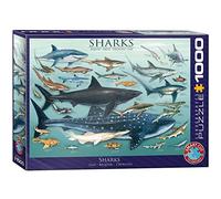 Eurographics - Puzzle Squali - 1000 Pezzi