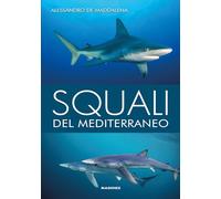 Squali del Mediterraneo. Ediz. a colori