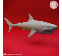 Squalo Miniatura Creature Del Mare Figura per Ttrpg Come D 5e Pathfinder Dsa