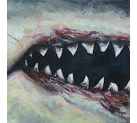 Squalus - Great Fish